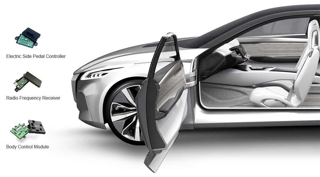 Intelligent Body Domain