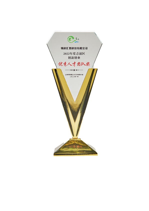 上海青浦区优秀人才团队奖