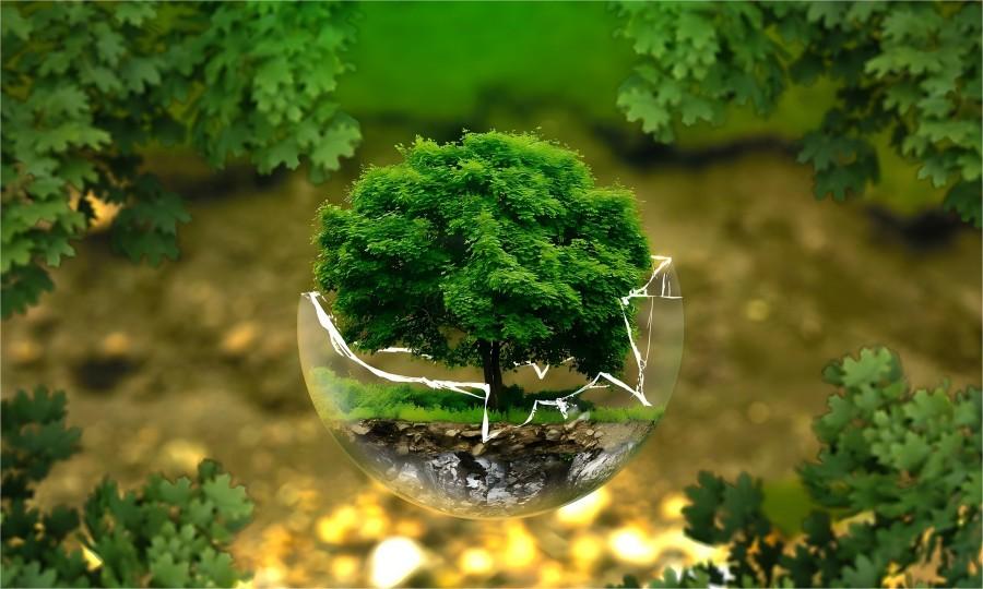 Environmental Policy